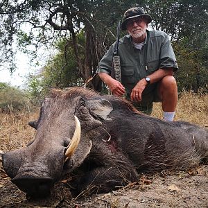 Mozambique Hunt Warthog