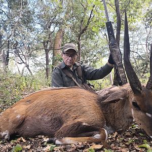 Mozambique Hunting Bushbuck