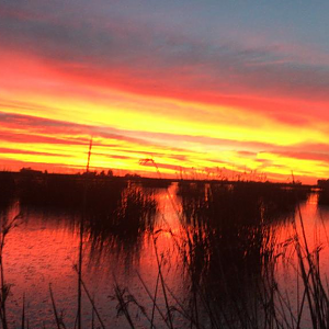 Duck hunt Argentina