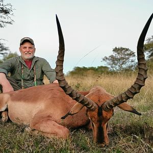 Impala Hunt South Africa