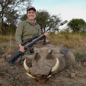 South Africa Hunt Warthog