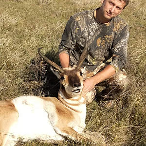 Hunt Pronghorn