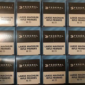 Federal Large Magnum Primers