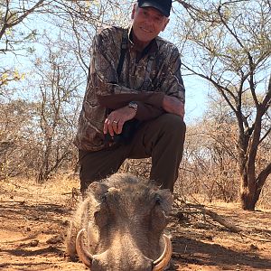 Warthog Hunting South Africa