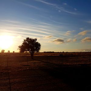 Sunrise In The Outback Australia