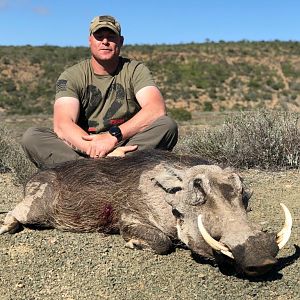 Hunting Warthog in South Africa