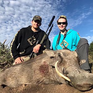 South Africa Hunting Warthog