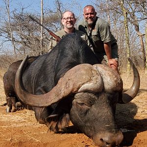 South Africa Hunt Cape Buffalo