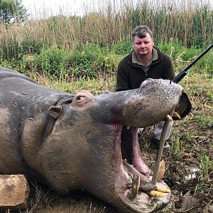 Hunt Hippo in South Africa