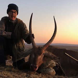 Waterbuck Hunting South Africa