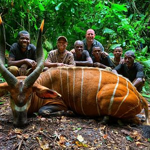 Congo Hunt Bongo