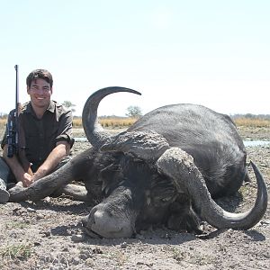 Cape Buffalo Hunt Namibia