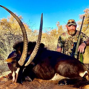 South Africa Hunting Sable Antelope