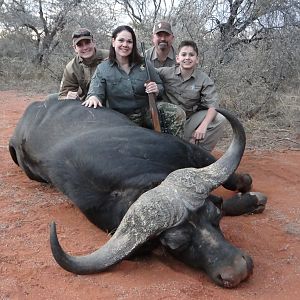 Hunt Buffalo in South Africa