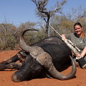 Buffalo Hunting South Africa