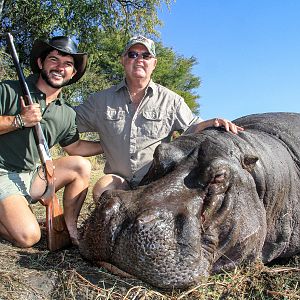 Namibia Hunt Hippo