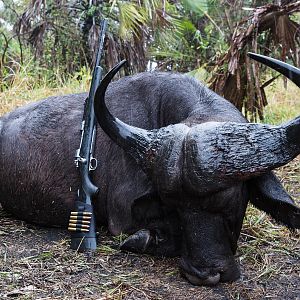 Mozambique Hunt Cape Buffalo