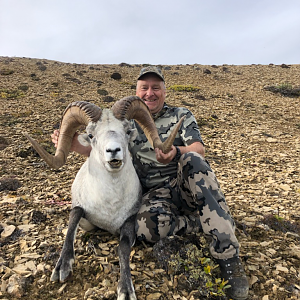 40" Inch Stone Sheep Hunt Canada