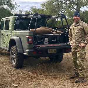 White-tailed Deer Hunting Texas USA