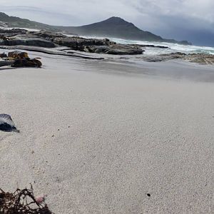 Cape of Good Hope South Africa