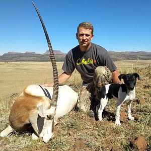 Hunting Scimitar Oryx in South Africa