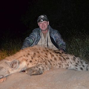 Hunting Spotted Hyena in South Africa