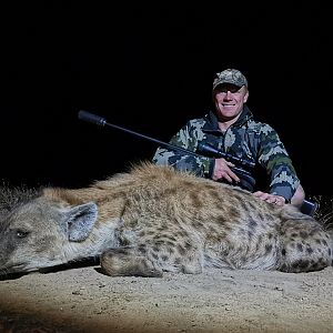 Spotted Hyena Hunt South Africa