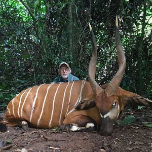 Bongo Hunting Cameroon