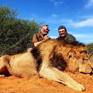 Hunting Lion in South Africa