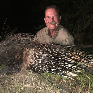 Tanzania Hunting African Porcupine