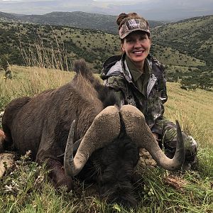 Hunting Black Wildebeest in South Africa