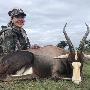 South Africa Hunting Blesbok