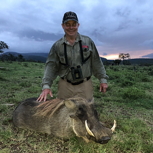 South Africa Hunt Warthog