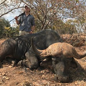 Cape Buffalo Hunt South Africa