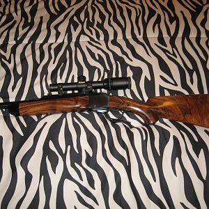 300 H&H Rifle