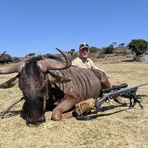 South Africa Hunt Blue Wildebeest