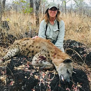 Spotted Hyena Hunting Tanzania