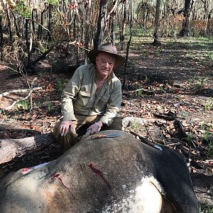 Hunt Scrub Bull in Australia