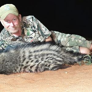 Civet