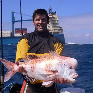 Fishing Dorado in South Africa