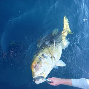 Fishing in South Africa