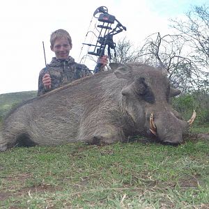 Bow Hunting Warthog in South Africa