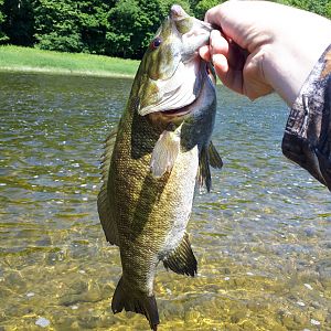 Fly Fishing River Bass in SW Ontario Canada