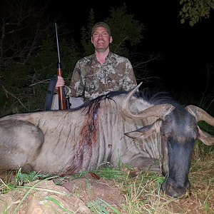 Hunting Blue Wildebeest in South Africa