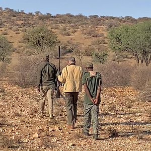 Gemsbok Hunting Namibia