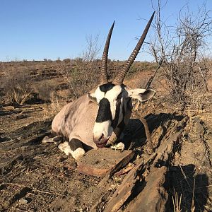 Hunt Gemsbok in Namibia