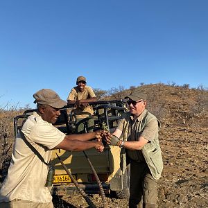 Namibia Hunting Gemsbok