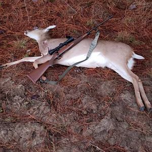 Hunt White-tailed Doe