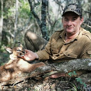 Caracal Hunting South Africa