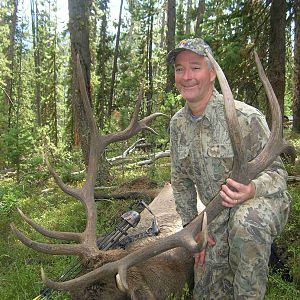 USA Bow Hunting Elk